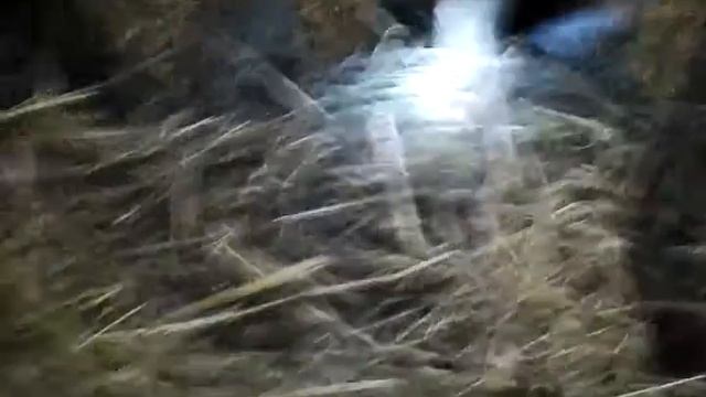 Как содержать кур зимой. смотреть онлайн