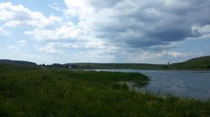 Пермский край. Село Орда. р.Кунгурка. 11.06.2016 г.