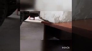 Обслуживание дверей vw t5