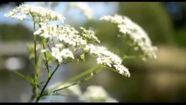 Константин Кирюхин - диктор, звукорежиссер