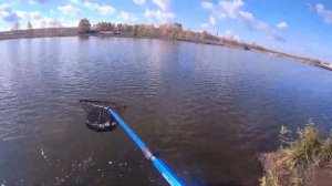 ЛОВЛЯ ФОРЕЛИ ОСЕНЬЮ! РЫБАЛКА В КОКИНО (НОВЫЙ ВОДОЕМ)