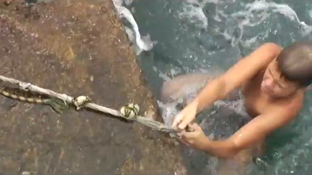 Сочи Мамайка июнь 2016 смотреть онлайн