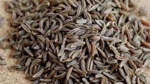Как выглядят семена тмина