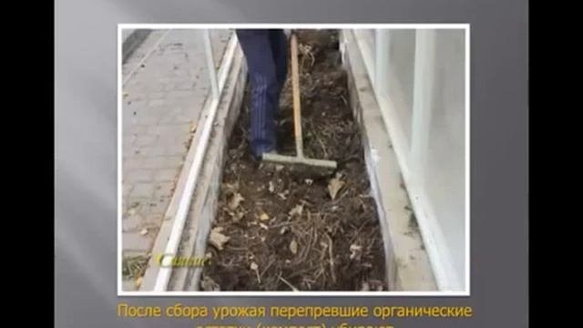 Теплые грядки