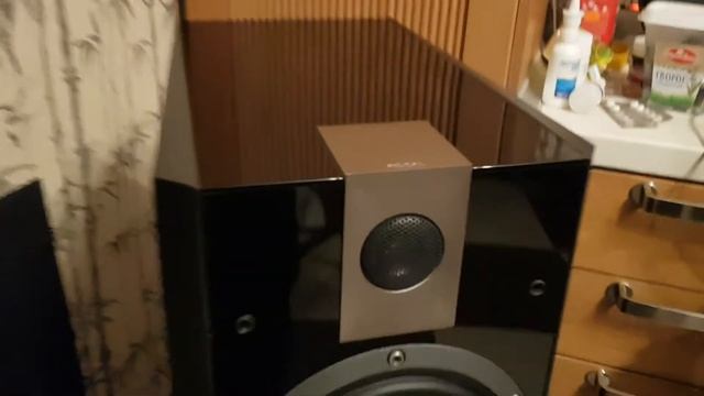 Focal 816V