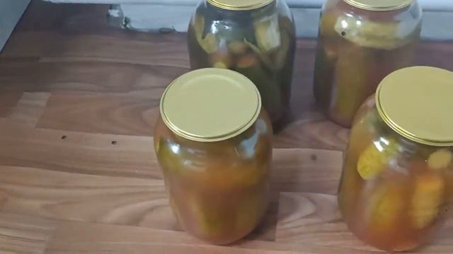 Живу в деревне// Здесь бывают выходные? Постоянно что то делаешь///
