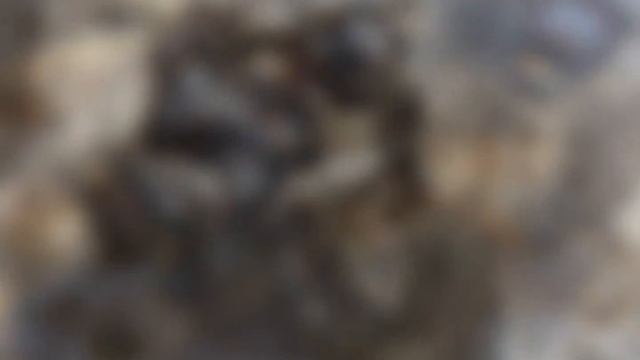 квадроцикл fym turbo смотреть онлайн