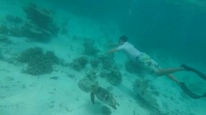 Maldives. Snorkeling from Ghuraidhoo Ocean Retreat and Spa Hotel