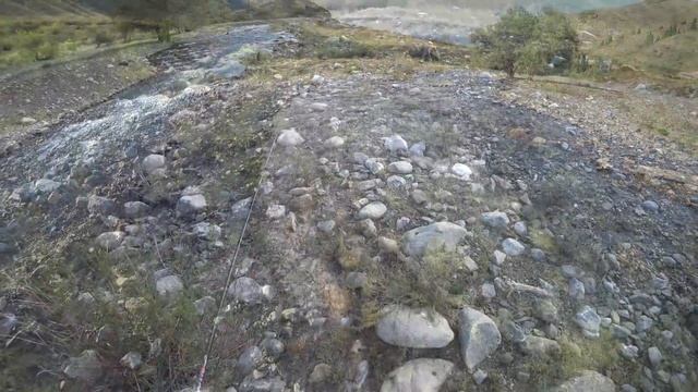 РЫБАЛКА НА ФОРЕЛЬ В ГОРАХ Кольсай Заповедник Чарын