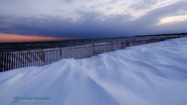 Скажите,,нет психосоматики? смотреть онлайн
