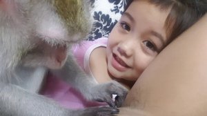 Эпиляция от обезьянки)