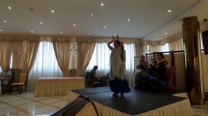 Flamenco Show at the Hotel Alameda Palace Hotel Salamanca, Spain