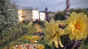 Дорога цветов. Украшение св. Канавки. Дивное Дивеево.