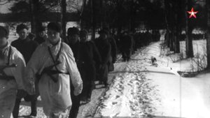 Курляндский котел 1944-1945 годы ..