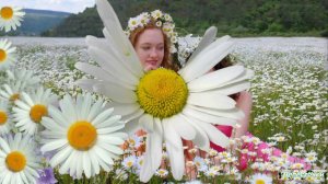 Лепесточки (минус)G#m