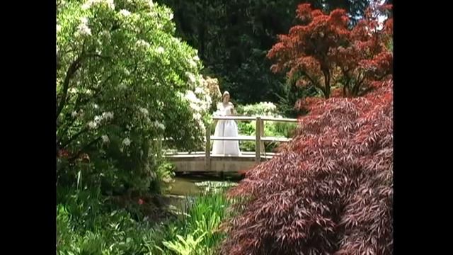 Jenkins Estate Weddings смотреть онлайн