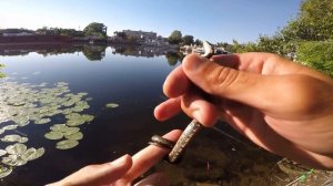 БЕШЕННЫЙ КЛЕВ/Рыбалка на поплавок июль 2022 #карасьнаудочку #рыбалкалетом