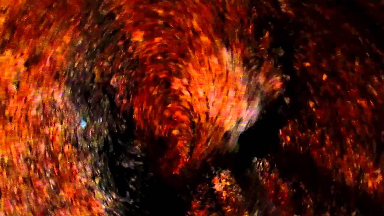 Ноу- Хау в сельском хозяйстве .Это прорыв. №3 часть .Две недели спустя