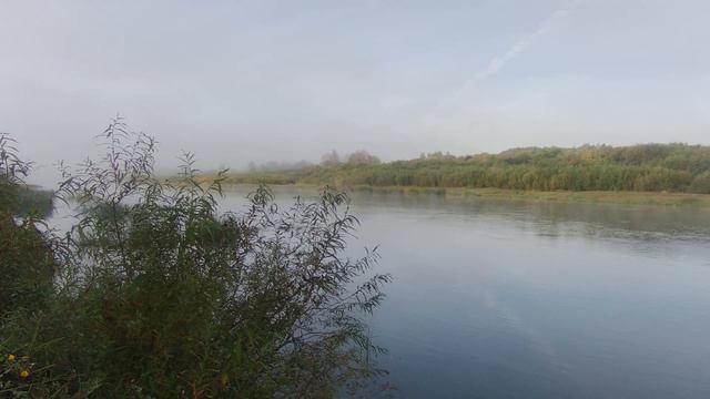 ОСЕНЬ. ТУМАН. РЫБАЛКА. смотреть онлайн