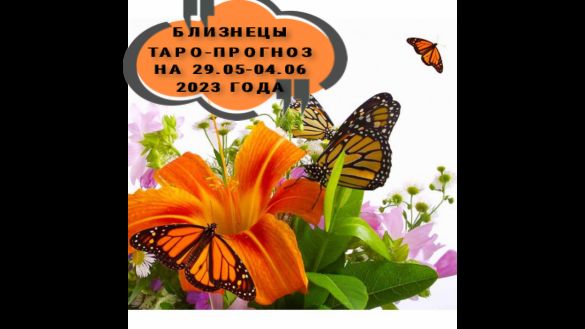 БЛИЗНЕЦЫ ТАРО ПРОГНОЗ НА НЕДЕЛЮ С 29.05-04.06.2023