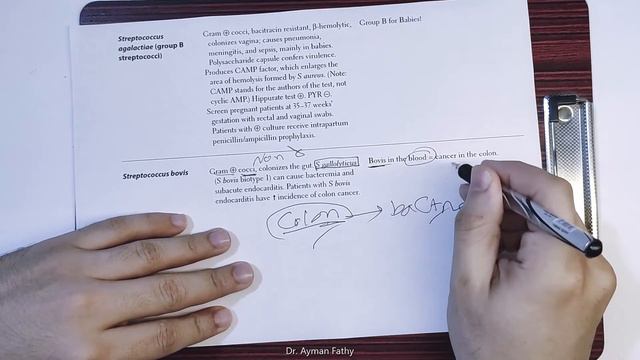 Streptococcus Bovis - USMLE Step 1 Microbiology - Dr. Ayman Fathy смотреть онлайн