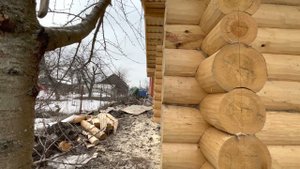 Строительство сруба бани в Московской области. Баня из бревна.