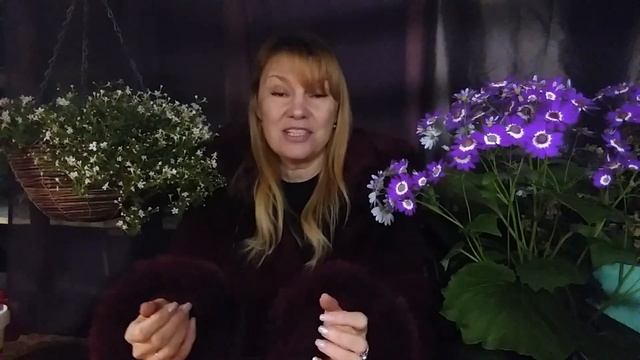 Природное земледелие часть №3 вредители и болезни.