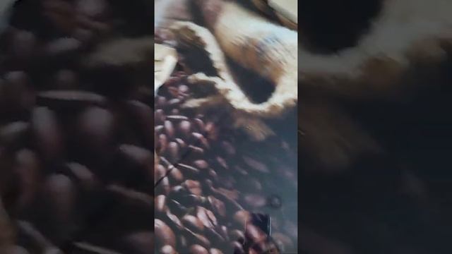 Доводчик стекол МАКС-2 Vesta на 4 двери. Распаковка смотреть онлайн