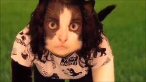 TF Animal Shapeshifting 101