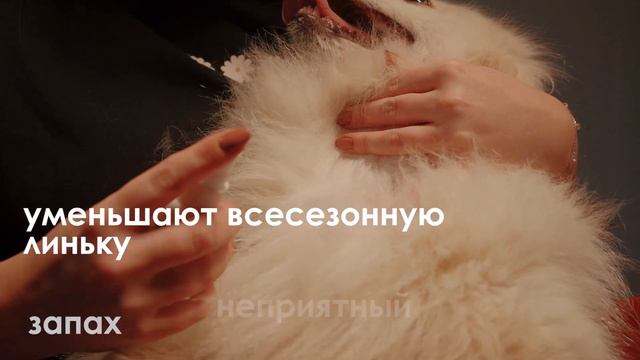 Полезные духи для животных (Лаванда и алоэ) Woofik смотреть онлайн