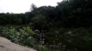 Рыбалка на реке Ворона.