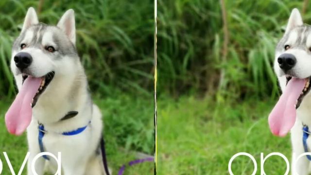 Huawei nova 2+ vs Oppo F5, camera comparison...December 1, 2017 смотреть онлайн