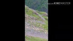 Тляратинский район Село Бетельда