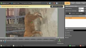 Как перевернуть картинку и видео в видео редакторе ФотоШоу Pro