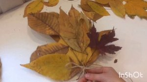 Поделки из осенних листьев ?