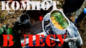 КОМПОТ ИЗ ДИКИХ ЯБЛОК В ЛЕСУ