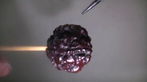 Eka one mukhi round Rudraksha...