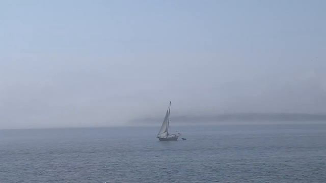 Простые правила похудения. О питании, эмоциях и разумности тела смотреть онлайн