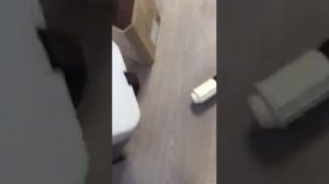 пылесос Чайка 10М (длина сетевого шнура 10 метров)