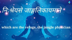 Ashtanga Yoga Opening Mantra | Vande Gurunam Charanaravinde | Arjuyogasadhana