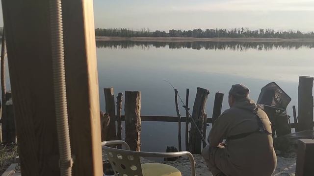 Бешеный клев Сазана по большой воде. Большое путешествие часть 5: Обзор базы Парк-отель Риверсайд смотреть онлайн