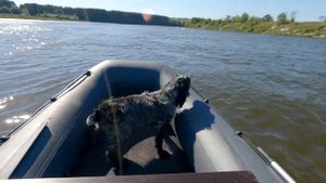 На природу с ночевой и лодками ПВХ Касатка 335 и Хантер 360А