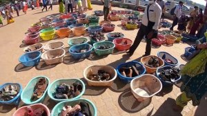 Южное Гоа ИНДИЯ 2022 | Пляж Варка, Карнатака Гокарна, Статуя Шивы