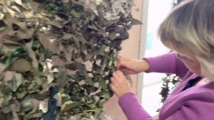 Зачем нужна маскировочная сеть для фронта.