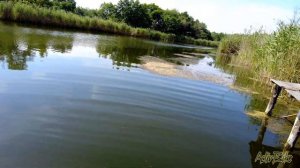 Вдоль  реки Говтва / Решетиловка - 10.07.2022