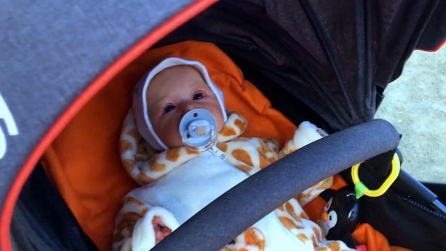 Вопрос-ответ с реборном на улице Подарила реборна Что случилось с моим каналом?22/10/23 #reborn смотреть онлайн