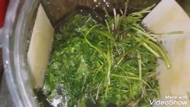 Готовим ТЯЙМИТИКЕ.Замачиваем овощи от соли.Часть 1. смотреть онлайн