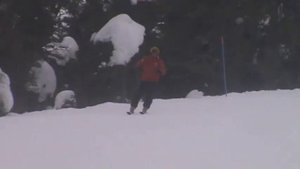 Горные лыжи.Обучающее видео. Карвинг, первые повороты. Часть 2. Скифактор.