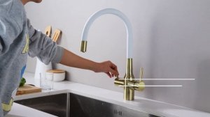 Смеситель для кухни под фильтр с гибким изливом SALIX