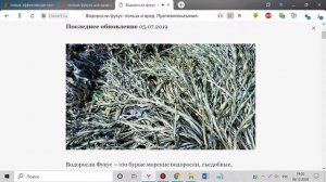 Водоросли фукус: польза и вред. Противопоказания. Легенда океанов!
